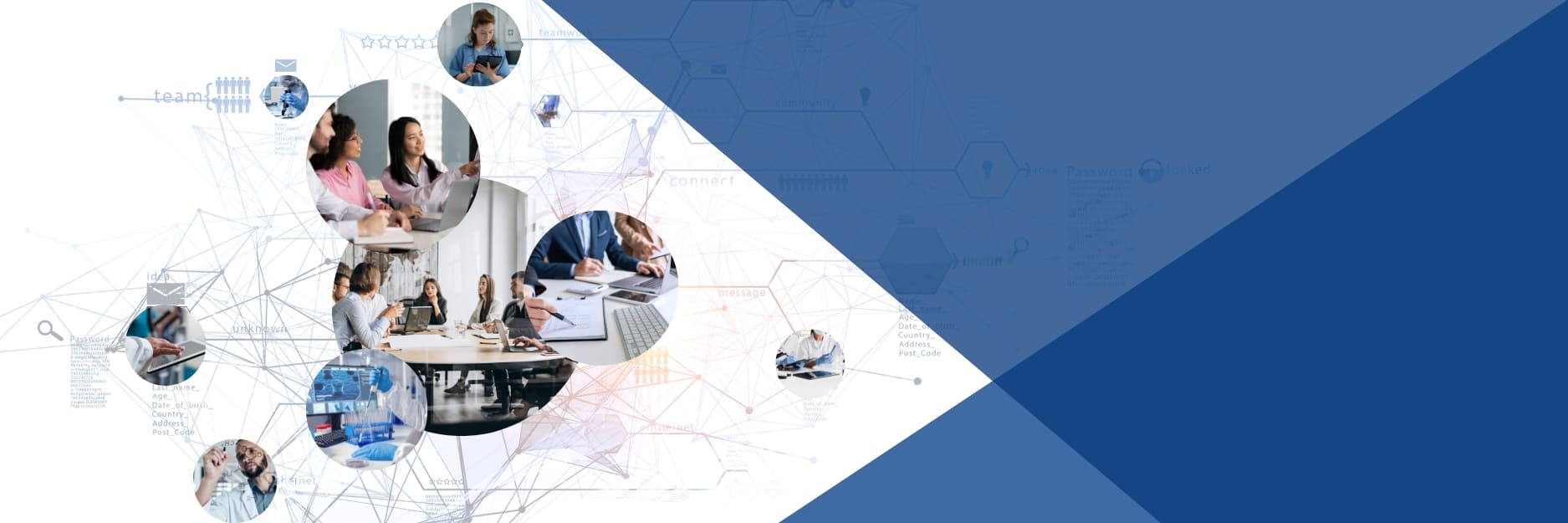 interRAI-IT - Una rete collaborativa di ricercatori italiani, affiliata di interRAI international